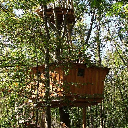 Les Cabanes De Fontfroide Saint-Antoine  Exterior photo
