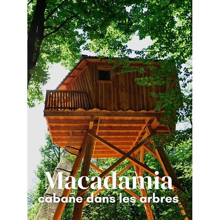 Les Cabanes De Fontfroide Saint-Antoine  Exterior photo